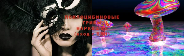 круглые Бородино