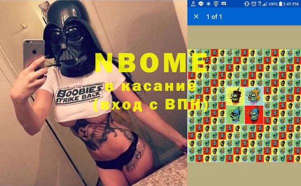 индика Бронницы