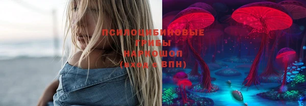 индика Бронницы