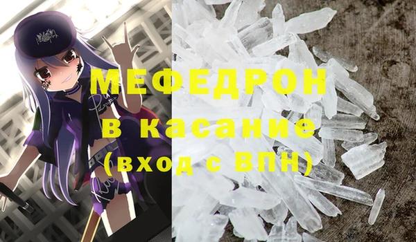 индика Бронницы