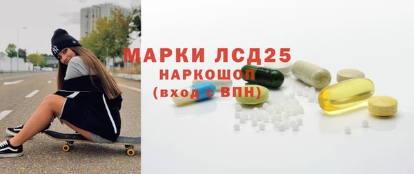 индика Бронницы