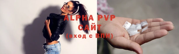 индика Бронницы