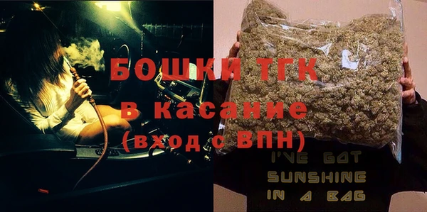 индика Бронницы