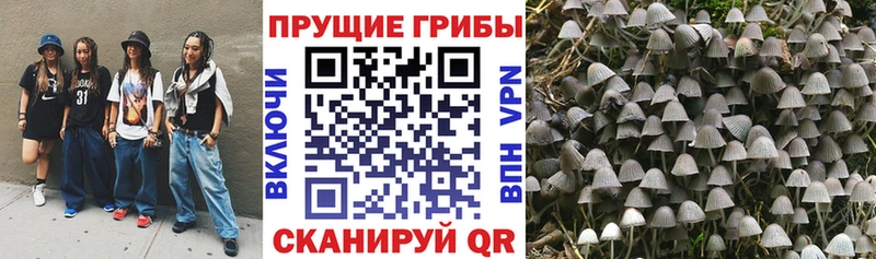 МЕГА ONION Трёхгорный Псилоцибиновые грибы ЛСД